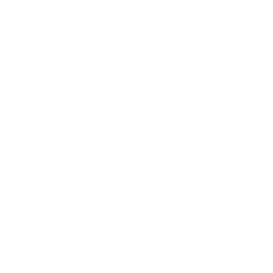 Octopus Logo